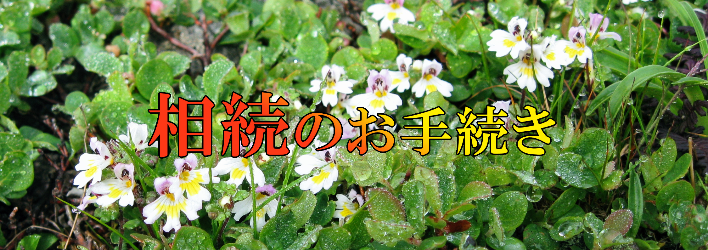 相続のお手続き